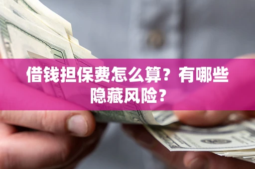 武汉借钱担保费怎么算？有哪些隐藏风险？