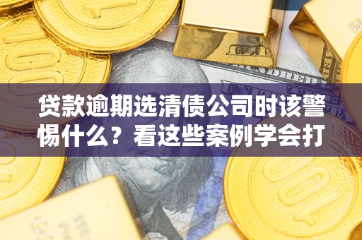 武汉贷款逾期选清债公司时该警惕什么？看这些案例学会打翻身仗