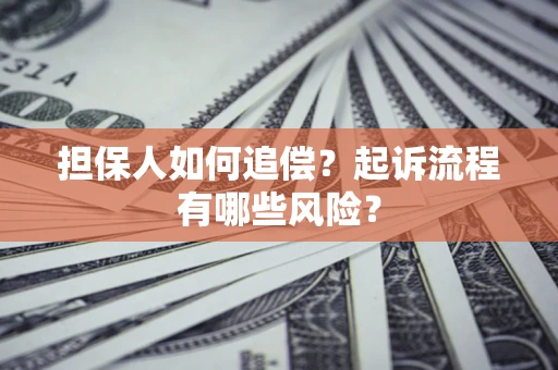 武汉担保人如何追偿？起诉流程有哪些风险？