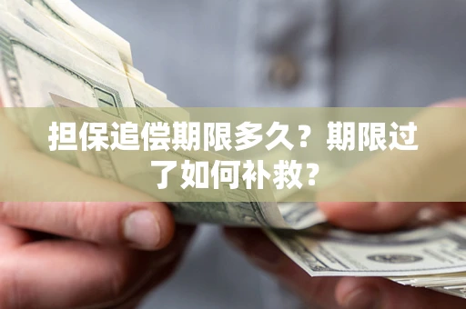 武汉担保追偿期限多久？期限过了如何补救？