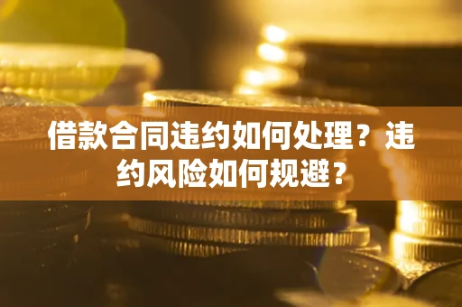 武汉借款合同违约如何处理？违约风险如何规避？