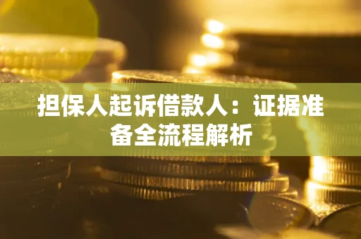 武汉担保人起诉借款人：证据准备全流程解析