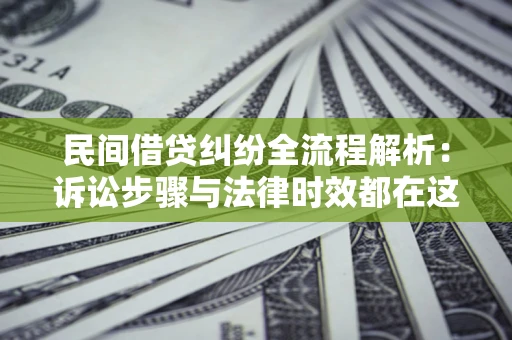 武汉民间借贷纠纷全流程解析：诉讼步骤与法律时效都在这儿了