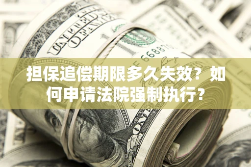 武汉担保追偿期限多久失效？如何申请法院强制执行？