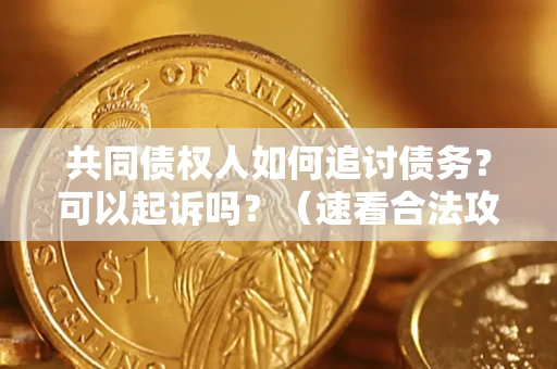 武汉共同债权人如何追讨债务？可以起诉吗？（速看合法攻略）