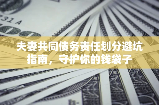 武汉夫妻共同债务责任划分避坑指南，守护你的钱袋子
