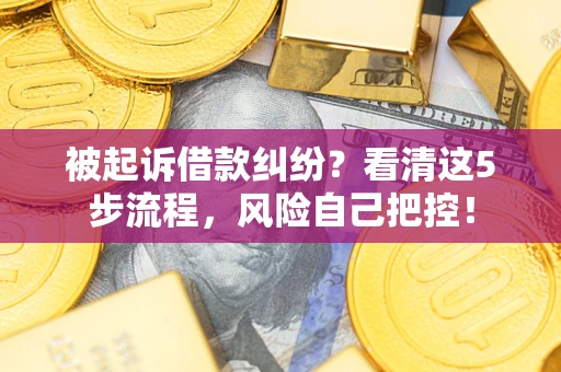 武汉被起诉借款纠纷？看清这5步流程，风险自己把控！