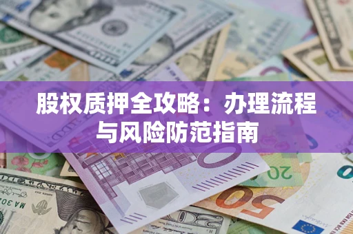 武汉股权质押全攻略：办理流程与风险防范指南