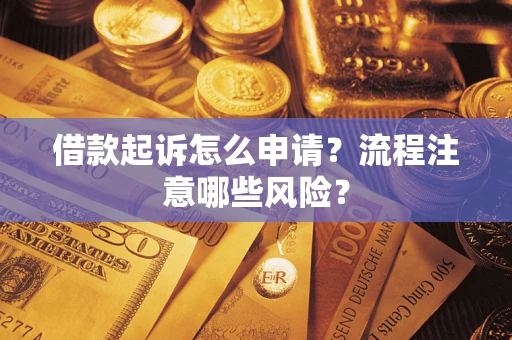 武汉借款起诉怎么申请？流程注意哪些风险？